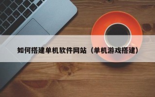 邵阳县如何搭建单机软件网站（单机游戏搭建）